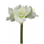 لوگوی کافه