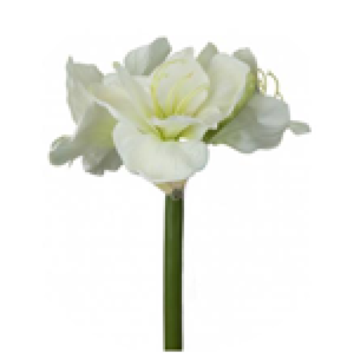 نسرین باقری